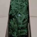 National Tree Company 7.5 ft Pre-Lit Dunhill Fir Artificial Christmas Tree, 750 Clear Lights, 2,514 Tips, Includes Stand, Green