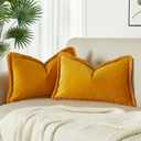 JUSPURBET Gold Velvet Throw Pillow Covers 16x24 Inch Set of 2 with Soft Tassel Fringe Luxury Boho Pillowcase for Sofa Couch Bed Home Decor Machine Washable