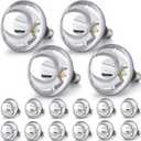 VIHOSE 16 Pack Heat Lamp Bulbs 250 Watt, R40 E26, Silver