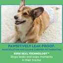 Out! PetCare Disposable Dog Diapers Male, Puppy Belly Band, Potty Training, Doggie Diapers, Belly Bands for Male Dogs, Puppy Training, Incontinence, (XS/S, 32ct)