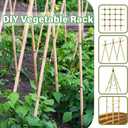 3ft Natural Bamboo Plant Stakes for Tomatoes, Beans, Flowers, Potted, Climbing Plants 30pcs