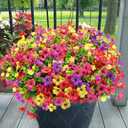 Yastouay Artificial Flowers for Outdoors, 14 Bundles UV Resistant Artificial Outdoor Flowers, Realistic Fake Outdoor Flowers Plant Faux Flowers for Outdoor Planters Front Porch Patio Window Box (Purple+fuchsia+red+yellow)