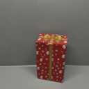 Musical Lighted Snow Globe with Snowman & Cardinal, 6H Timer, USB&Battery Operated, Clear Plastic Classic Snow Globe for Christmas Decoration and Gifts