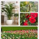 Breeze Touch 8 Pack Plant Support Stakes, 16 Inch Plant Stakes for Outdoor Plants, Peony Cage with 15 Pcs Green Lables, Peony Cages and Supports, Peonies Support Cages Flower Stakes for Plants