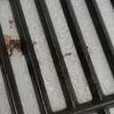 17.5 Inch 7638 Cooking Grates for Weber Spirit & Spirit II 300 Spirit E/S 310 E/S 320 E/S 330 SP-320, Spirit 700 Genesis 1000-3500 Genesis Gold Silver Platinum B/C Gas Grill 7639 Replacement Parts