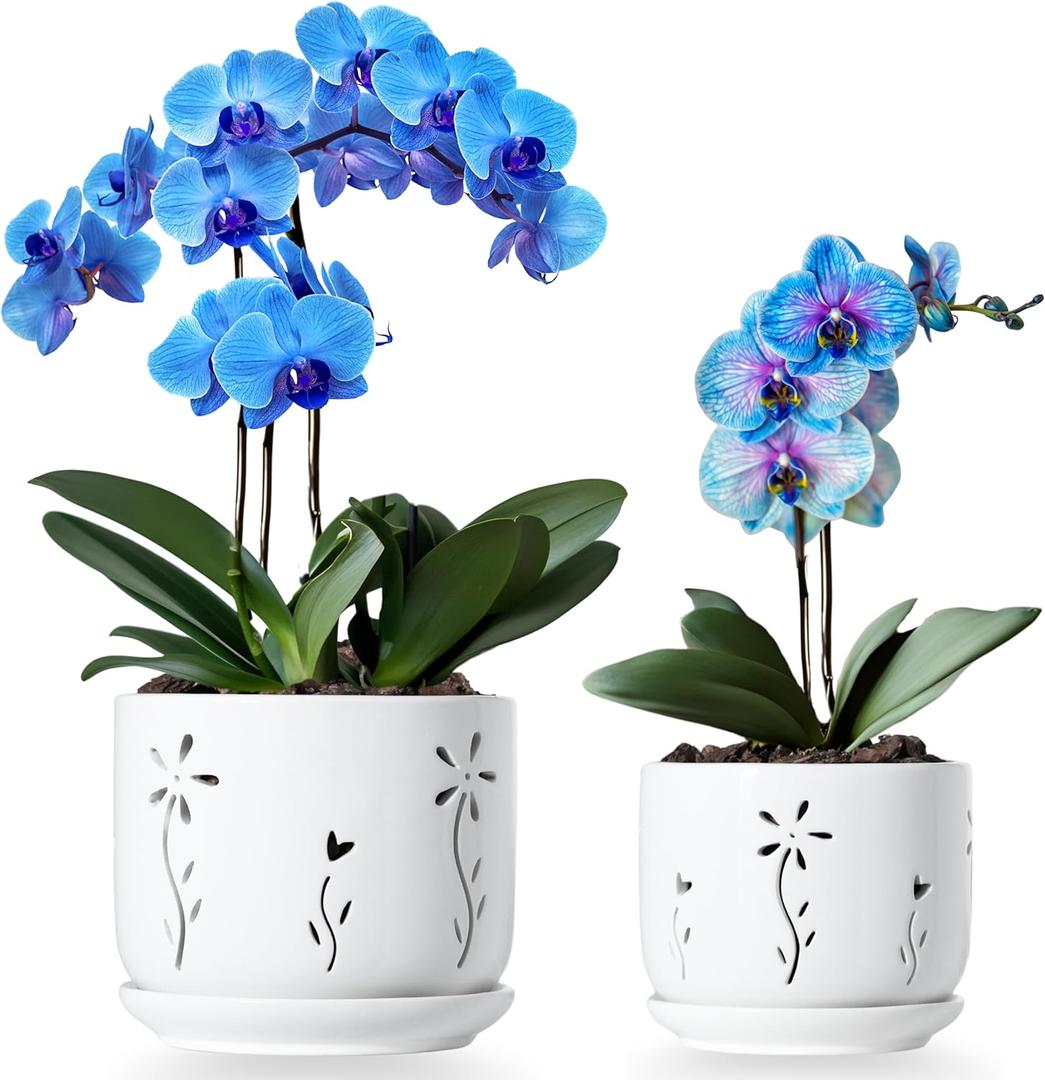 2 Pack, 5 + 6 Inch White Orchid Pots with Holes and Saucer, Ceramic Orchid Planters for Repotting with Drainage Holes and Tray, Plant Flower Pot containers for Orchid Indoor Outdoor