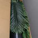 FloraFairy 6FT Tall Artificial Palm Trees, Potted Plant (2 Pack) Tropical Areca Palm, UV Resistant Indoor/Outdoor Fake Plant in Black Cement Pot, Realistic Decor for Patio, Living Room, Office