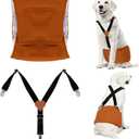 Premium Reusable Dog Belly Bands for Male Dogs (2 Pack) - 1 Washable Dog Diapers Male & 1 Adjustable Suspenders for Urination Incontinence, (Brown L)