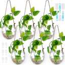 Chasing Tails Cat Wall Shelves - Four Step Cat Shelf with Scratch Board, Mounted Cat Shelves, Sturdy Cat Wall Furniture for Indoor Cats, Kittens - Extra Cat Wall Hammock Cover Included