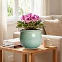 Ceramic Self Watering Planter, 8 Inch African Violet Pots, Green