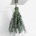 10 Pcs Dried Eucalyptus Stems 17" Real Eucalyptus for Shower Hanging 100% Made from Fresh Leaves, Wedding, Home, Farmhouse, DIY Spring Decor Bathroom Decor Home Decor
