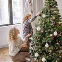 Christmas Tree Ornaments 16 Pcs Velvet Christmas Balls Bulk Flocked Christmas Tree Ball Ornaments for Holiday Wedding Party Christmas Tree Hangings (Brown & Green, 3.15Inch)