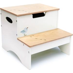 Tender Leaf Toys - Forest Steps - Lightweight and Portable Step Stool for Kids with Storage Space and Handles - Easy to Move, Great for Home, Kitchen, Nursery Room, and Countertop - Age 3+