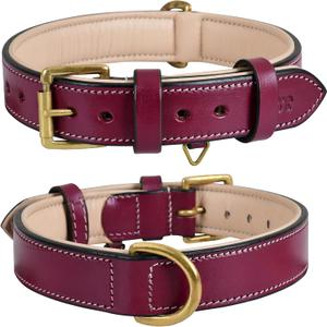 Genuine Leather Dog Collar | Full Grain, Heavy Duty, Comfortable, Padded, Strong | Best for Pups, Small Breeds (Small (Fit Neck Size 11.5"-14.5"), Dark Pink)