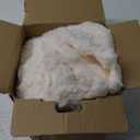 BEDELITE Fleece Throw Blanket for Couch - 300GSM Soft & Warm Fluffy Cream White Blanket, Decorative and Giftable Striped Blankets for Women, Men, 50" x 60"