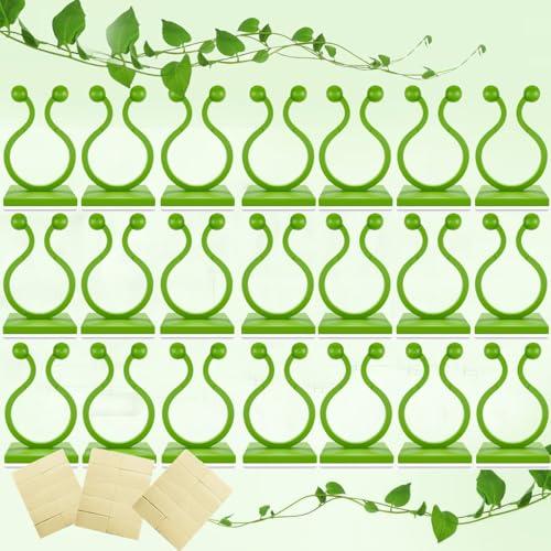 150Pcs Plant Clips for Climbing Plants Wall Clips with Stickers- Plant Wall Clips Pothos Plant Climber Support Plant Clips Plant Hooks for Vine Clips Money Plant Clips for Wall Plant Support 2 Pack