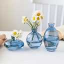 Lavandi Small Glass vase, Transparent Creative hydroponic Dried Flower vase, Colorful Three-Piece Set of Decorative Ornaments（Blue）