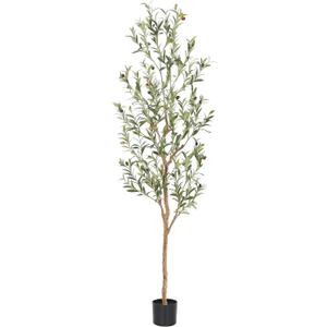 Bellacat Faux Olive Tree 6ftOlive Trees Artificial Indoor with Natural Wood Trunk and Realistic Leaves and Fruits. 6 Feet(72in) Fake Olive Tree for Home House Office Dcor.