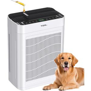 Air Purifier for Home Large Room Bedroom 
