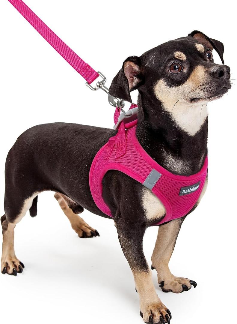 rabbitgoo Dog Harness Small Sized and Leash Set, Step in Soft Light Puppy Vest, Breathable Mesh Pet Harness, Reflective for Safe Easy Walking, Rosa Red XXXS (XXXS (Chest: 10.8 - 11.8"))