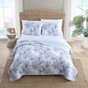 Tommy Bahama - Queen Quilt Set, Reversible Cotto Bedding with Matching Shams, Super Soft Bedding Set (Kayo Blue, Queen)
