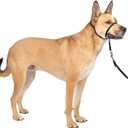 PetSafe Gentle Leader No-Pull Head Collar for Dogs, Dog Head Collar - The Ultimate Solution to Pulling, Padded Nose Loop, Quick-Snap Neck Strap, Dog Halter, Medium - Black (Medium (Pack of 1))