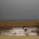 Tessco 4 Sets Gold 7 Arm Floor Candelabra 46.5'' Tall Floor Candle Holders Metal Candle Holders with Acrylic Lampshade Candlestick Centerpiece for Electronic Wedding Home Party Decoration