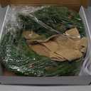 Plain Christmas Norfolk Pine Wreaths for Front Door 20 Inches, Real Touch Heart Xmas Winter Wreath with Burlap Bow for DIY Window Outdoor Outside, Holiday Farmhouse Wreath for Indoor Decor (Dark Green01)