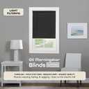 Cordless Light Filtering Mini Blind - 31 Inch Width, 64 Inch Length, 1" Slat Size - Black - Cordless GII Morningstar Horizontal Windows Blinds for Interior by Achim Home Decor