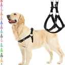 PUPTECK No Pull Dog Harness Soft Adjustable Basic Nylon Step in Puppy Vest Outdoor Walking with ID Tag (Large, Black)