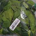 mizii 2 Strands Artificial Scindaps Vines Garland 73" Fake Vine with Silk Green Leaves Faux Evergreen Hanging Plants Greenery Decoration for Party Wedding Bedroom Home Wall Room Decor (Scindapsus)