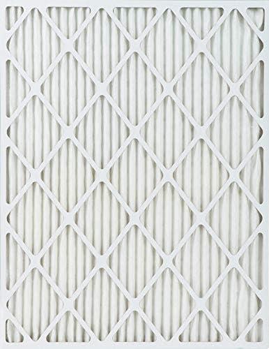 True Blue Allergen 12x25x1 Air Filter