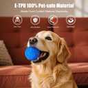 Interactive Dog Ball Replacement Shell (Blue)