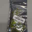 75 Pcs 20Amp Mini Fuse, 20 A Mini Car Blade Automotive Fuses for Car RV Truck SUV Motorcycle Boat