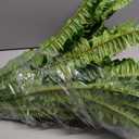 FOREST PRINCE 50" Artificial Boston Ferns, Fake Bush Plants, Large Faux Ferns with 96 Fronds for Outdoors Home Decor