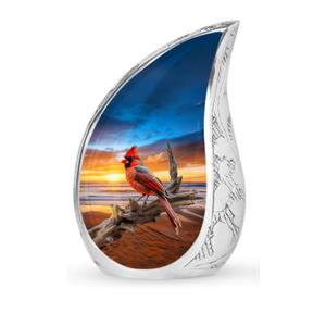 Yatskia Beach Cardinal Bird Little Memorial Urns for Adult Ashes Mother and Father, Small Cremation Urn for Human Ashes