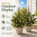 2FT 2Pack Artificial Topiary Trees Outdoor Potted Artificial Plant for Front Porch, UV Resistant Faux Bush Real Touch Pine Trees with Light for Garden, Yard & Patio Decor