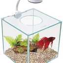 Marina CUBUS Glass Betta Kit Elegant Glass Aquarium for Homes or Offices