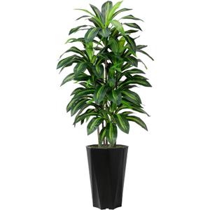 Artificial Dracaena Tree 5FT - Faux Plant with Black Diamond Planter - Tall Fake Tropical Yucca Floor Plant Potted - Artificial Silk Tree for Home Office Living Room Decor Indoor