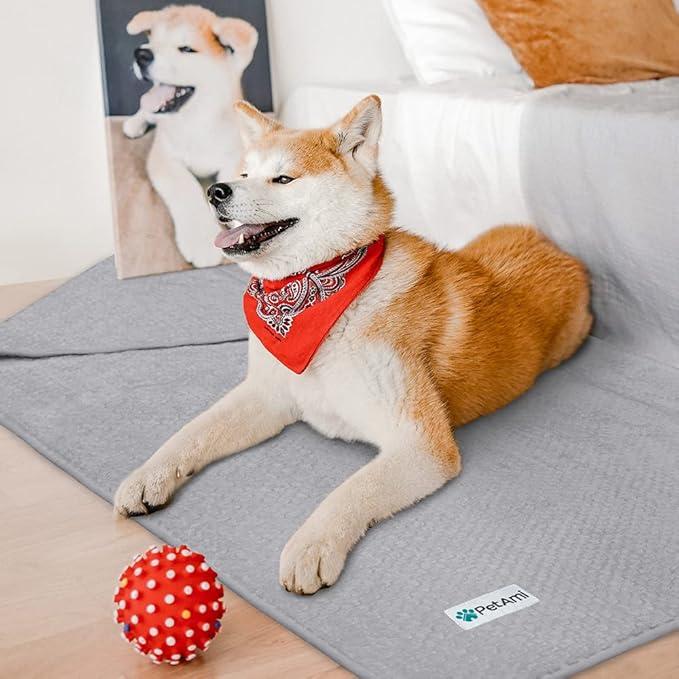 PetAmi Waterproof Dog Blanket, Leakproof Puppy Blanket for Small Medium Dog, Furniture Sofa Couch Cover Protector, Fleece Pet Throw Indoor Cat Kitten, Reversible Washable Soft Plush, 29x40'