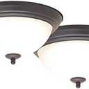 Ceiling Light Fix Led Bz 11in