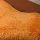 Ophanie Orange Fall Rugs for Bedroom Living Room, Fluffy Fuzzy Furry Carpet, Plush Soft Shaggy Bedside Indoor Floor 4x6 Area Rug for Kids Girls Boys Baby Teen Dorm Nursery Home Decor Aesthetic