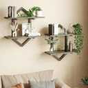 Floating Shelves, Set of 2 Wall Shelf, Wall Mounted Decorative Shelves, 2-Tier Modern Geometric Hanging Storage Shelf for Living Room, Bedroom, Kitchen, Office, Study (Greige + Black)