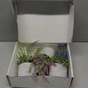 Der Rose 3 Pack Mini Potted Fake Plants Artificial Plastic Eucalyptus Plants Topiaries for Home Office Desk Farmhouse Shelf Room Bathroom Decor(Green)