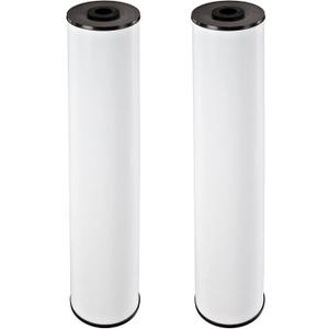 Pentair Pentek RFFE20-BB Big Blue Water Filter, 20-Inch, Whole House Radial Flow Iron Reduction Replacement Cartridge, 20" x 4.5", Pack of 2