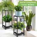 Lilybud--lily 2-Pack Plant Stand Indoor Outdoor, Heavy Duty Wrought Iron Pedestal Stands, Metal Plant Stand Decorative Flower Stand for Patio Garden Deck Living Room black-2 pack