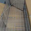 HAVAHART 1079SR Large 1-Door Humane Catch and Release Live Animal Trap Cage - Live Raccoon Trap, for Bobcats, Beavers, Dogs, & More