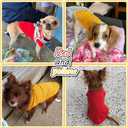 2 Pack Solid Color Dog Shirts - Lightweight, Quick Dry, Breathable Pet T-Shirts for Small to Large Dogs - Stretchy, Durable, Ideal for All Seasons and Holidays.Orange Red L