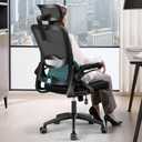 Ergonomic Office Chair,Mesh Office Chair with Lumbar Support,High Back Desk Chair with Flip-up Arms,400 lbs Big and Tall Computer Chair with Headrest,Comfy Desk Chairs, Standard