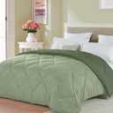 Seward Park Full Queen Size Forest Sage Green Comforter Reversible Lightweight Boys Bedding Cooling Bedspread All Season Fall Blanket